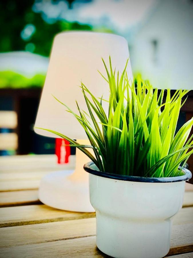 Sandkorn - Familien- Hunde - Strandnah - Grosse Loggia - Sauna & Wellness *